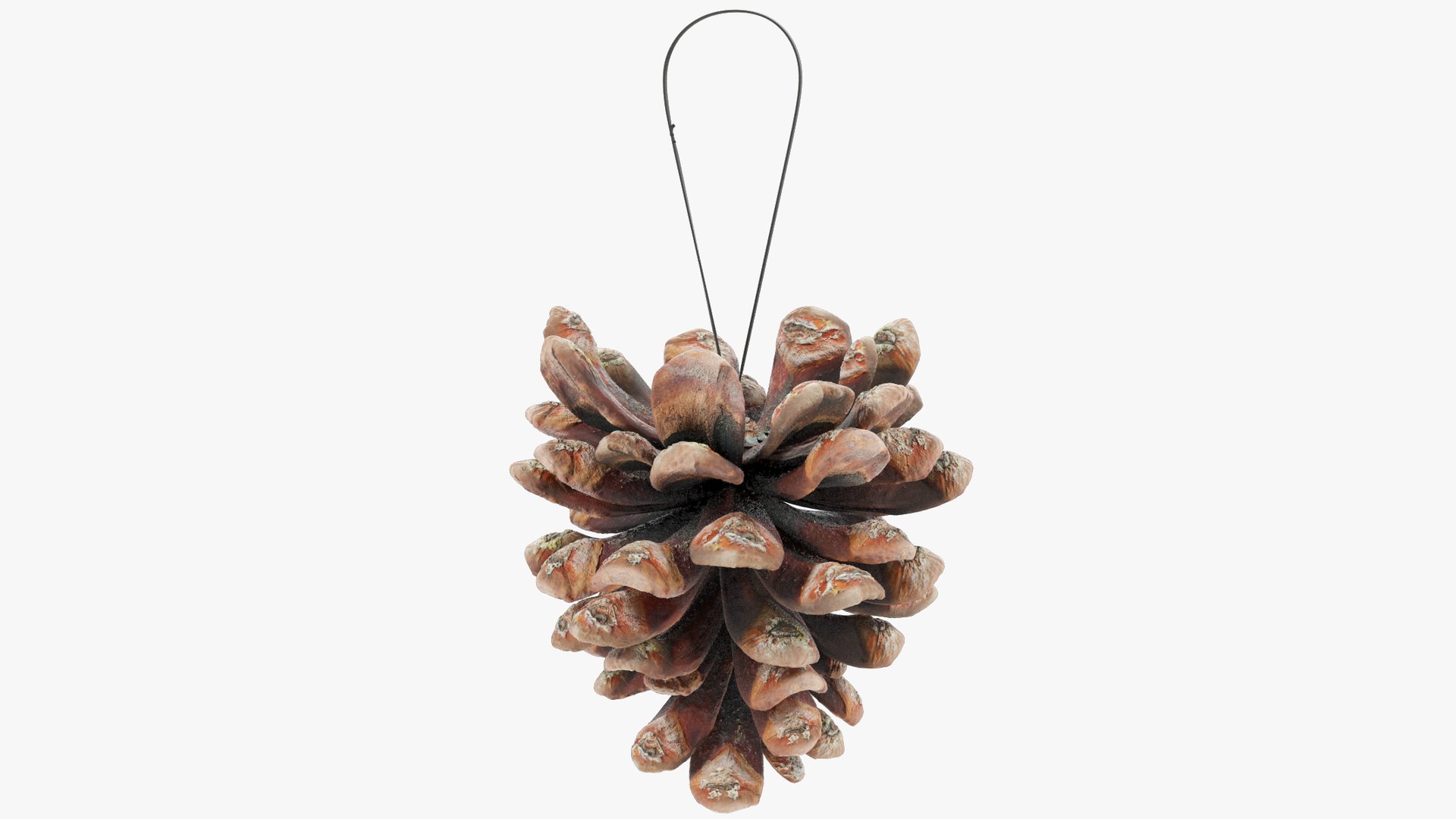 Christmas Ornaments Collection V10 3D https://p.turbosquid.com/ts-thumb/Fk/MXwYqy/5P/cctt1_004_007/png/1702504684/1920x1080/fit_q87/81376530acdfc7421c5e8cf758b67ebb8ac2f206/cctt1_004_007.jpg