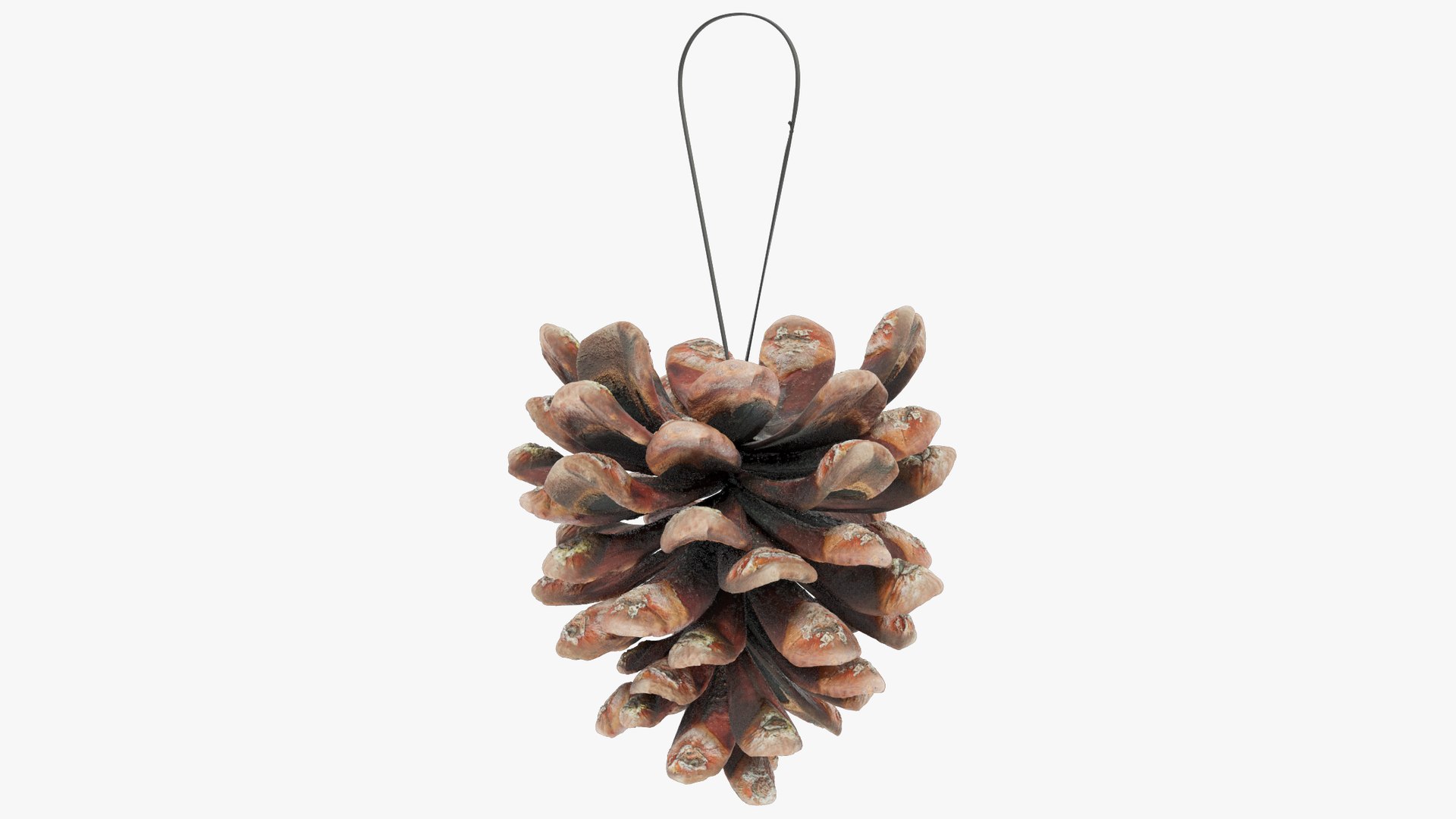 Christmas Ornaments Collection V10 3D https://p.turbosquid.com/ts-thumb/Fk/MXwYqy/YT/cctt1_004_001/png/1702504674/1920x1080/fit_q87/d63187cf4fdb357961c965070a4115f63fc45fd6/cctt1_004_001.jpg