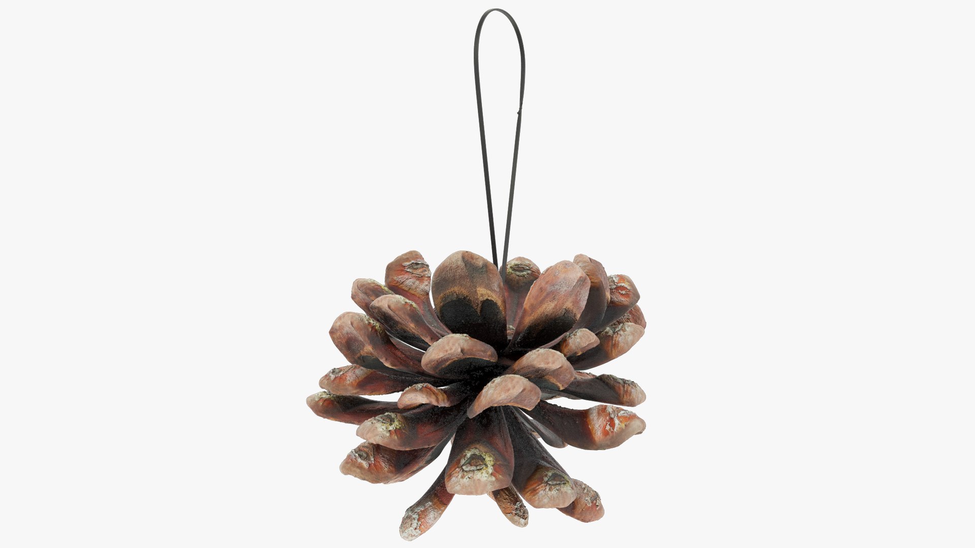 Christmas Ornaments Collection V10 3D https://p.turbosquid.com/ts-thumb/Fk/MXwYqy/ZM/cctt2_004_004/png/1702504838/1920x1080/fit_q87/4c77aed524adc3e3e7ebf8c65a9fcf9b8b312674/cctt2_004_004.jpg