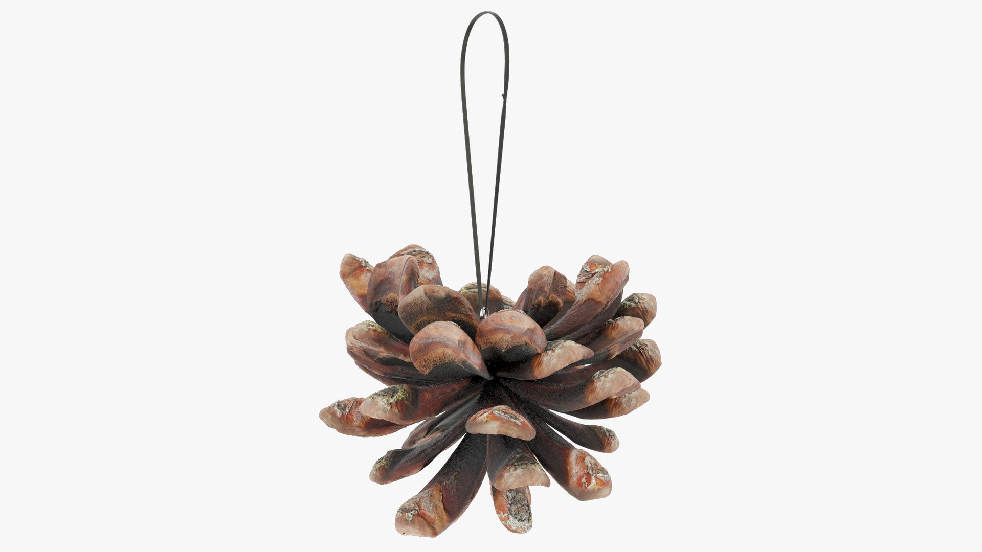 Christmas Ornaments Collection V10 3D https://p.turbosquid.com/ts-thumb/Fk/MXwYqy/pd/cctt2_004_008/png/1702504843/1920x1080/fit_q87/ee92551150a5f30c033b43350f21e7a59e214b25/cctt2_004_008.jpg