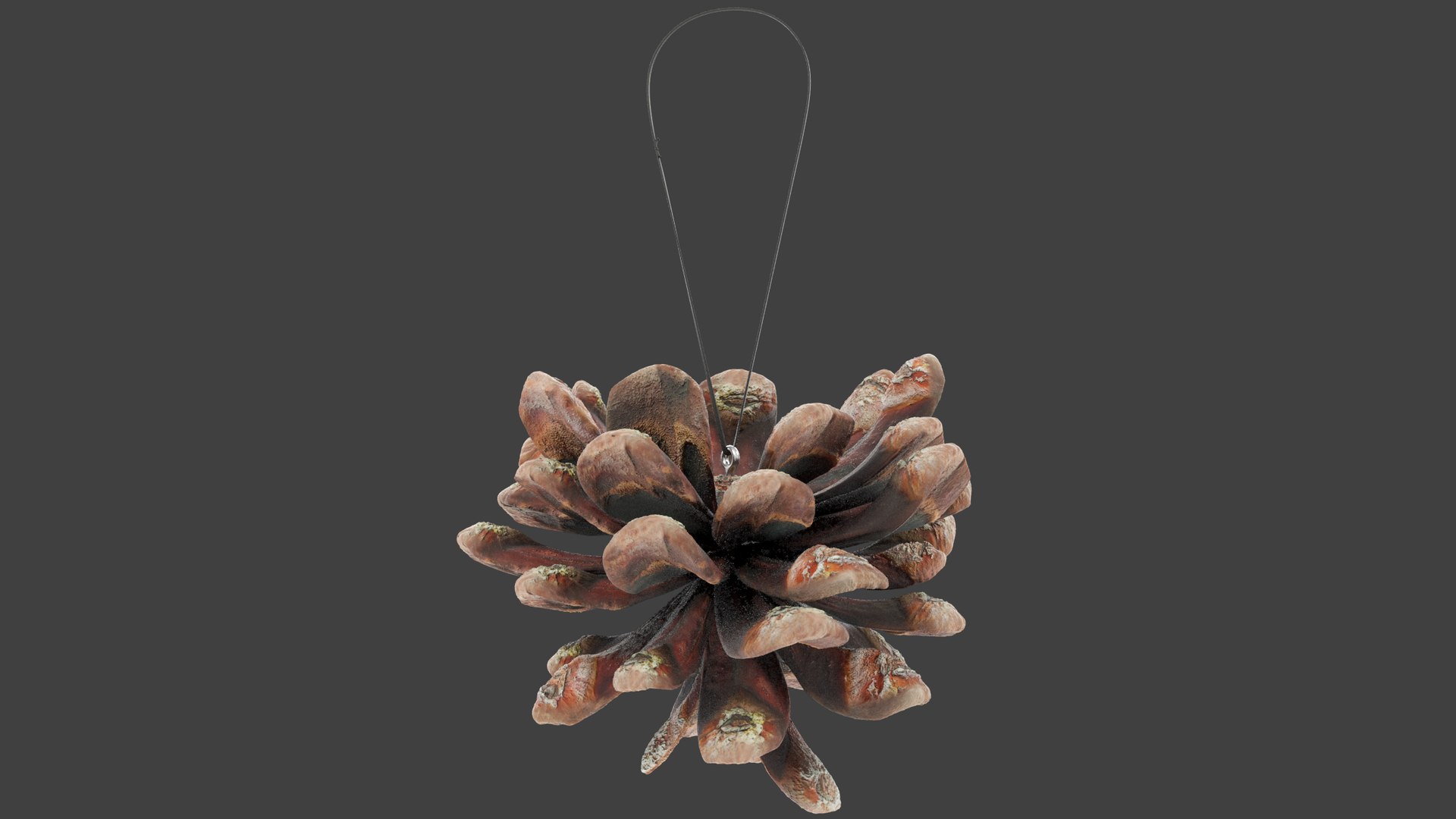 Christmas Ornaments Collection V10 3D https://p.turbosquid.com/ts-thumb/Fk/MXwYqy/wT/cctt2_002/png/1702504830/1920x1080/fit_q87/e24188043fc58bacd84848b062ae072864fbdb95/cctt2_002.jpg