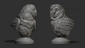 3D model Barn owl bust