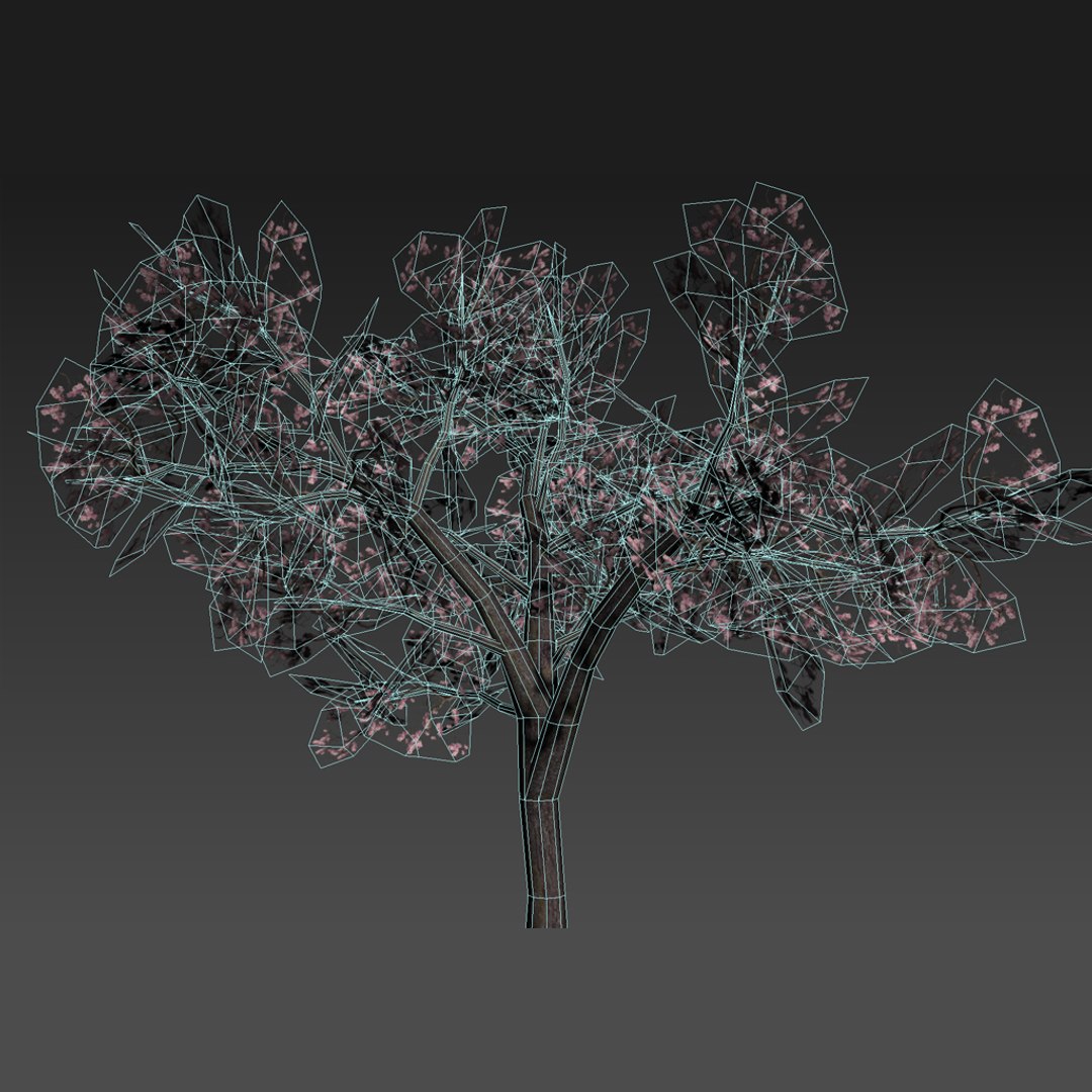 3d cherry tree https://p.turbosquid.com/ts-thumb/Fk/Sb3Jfq/hqTuYBCD/sakura_05/jpg/1461699040/1920x1080/fit_q87/45a3f5386962fac40fbf5bbcee72a790f9286ddf/sakura_05.jpg