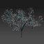 Cherry Tree