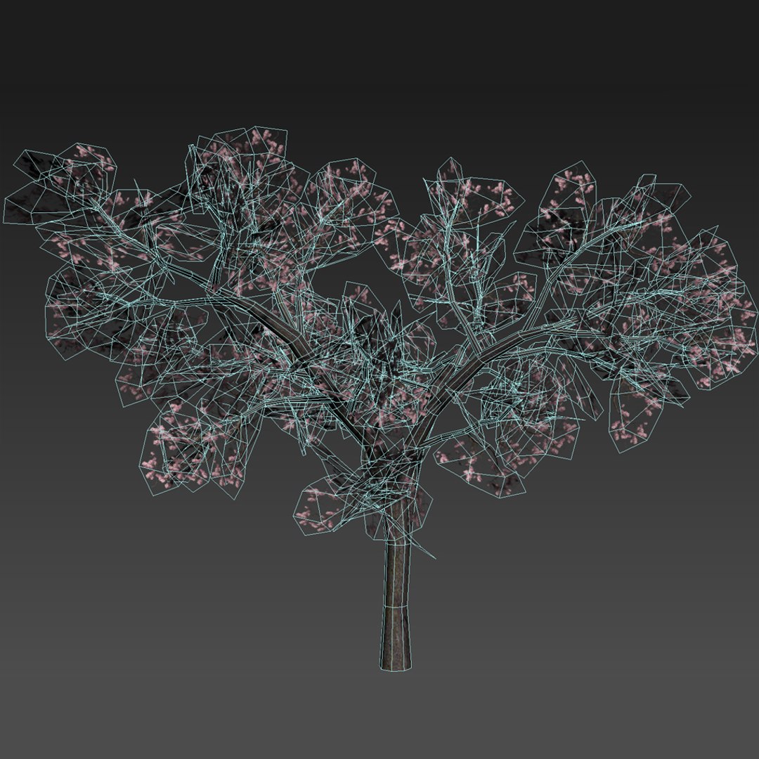 3d cherry tree https://p.turbosquid.com/ts-thumb/Fk/Sb3Jfq/m8wMyIL2/sakura_04/jpg/1461699039/1920x1080/fit_q87/7a2fc7ffc90c2aebc03e3bd493494f792a031f84/sakura_04.jpg