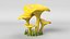 Cartoon Mushroom Collection