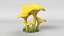 Cartoon Mushroom Collection