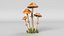 Cartoon Mushroom Collection