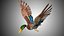 Canard colvert Low Poly Rigged