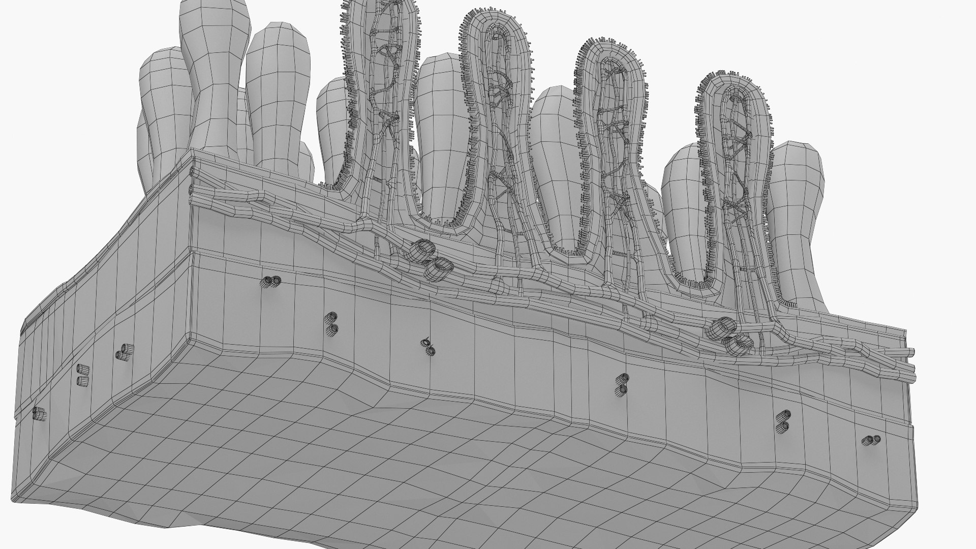Villi Cross Section With Microvilli Model - TurboSquid 2347866