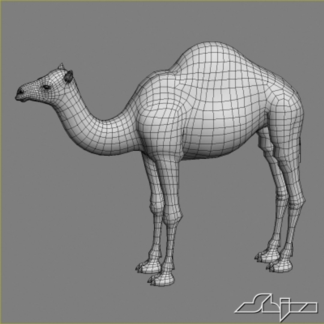 rigged character max https://p.turbosquid.com/ts-thumb/Fk/i5nztj/T5vaBJh4/wire1/jpg/1266102372/1920x1080/fit_q87/15386cfa565e2c40b22aa5bc254cbb6f95be1613/wire1.jpg