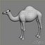 Camel Rigged