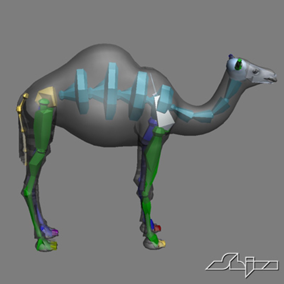 rigged character max https://p.turbosquid.com/ts-thumb/Fk/i5nztj/gZlbhd8q/wire4/jpg/1266102372/1920x1080/fit_q87/d6f84dc779ef0c347b8d9d96682cf11658c26476/wire4.jpg