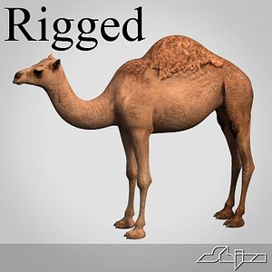 rigged character max