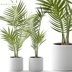 3D palm plants
