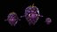 Chibi Fruit Mûre Deux