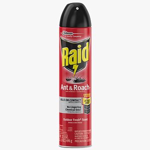 Raid Aerosol Can