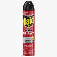Raid Aerosol Can