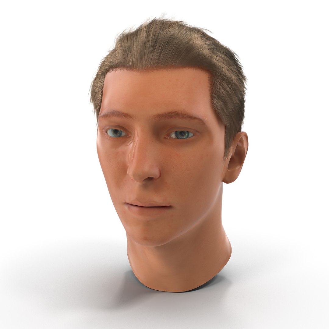 Male Head with Hair 2 3D model preview