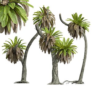 New Plant High detail Neottopteris Nidus model
