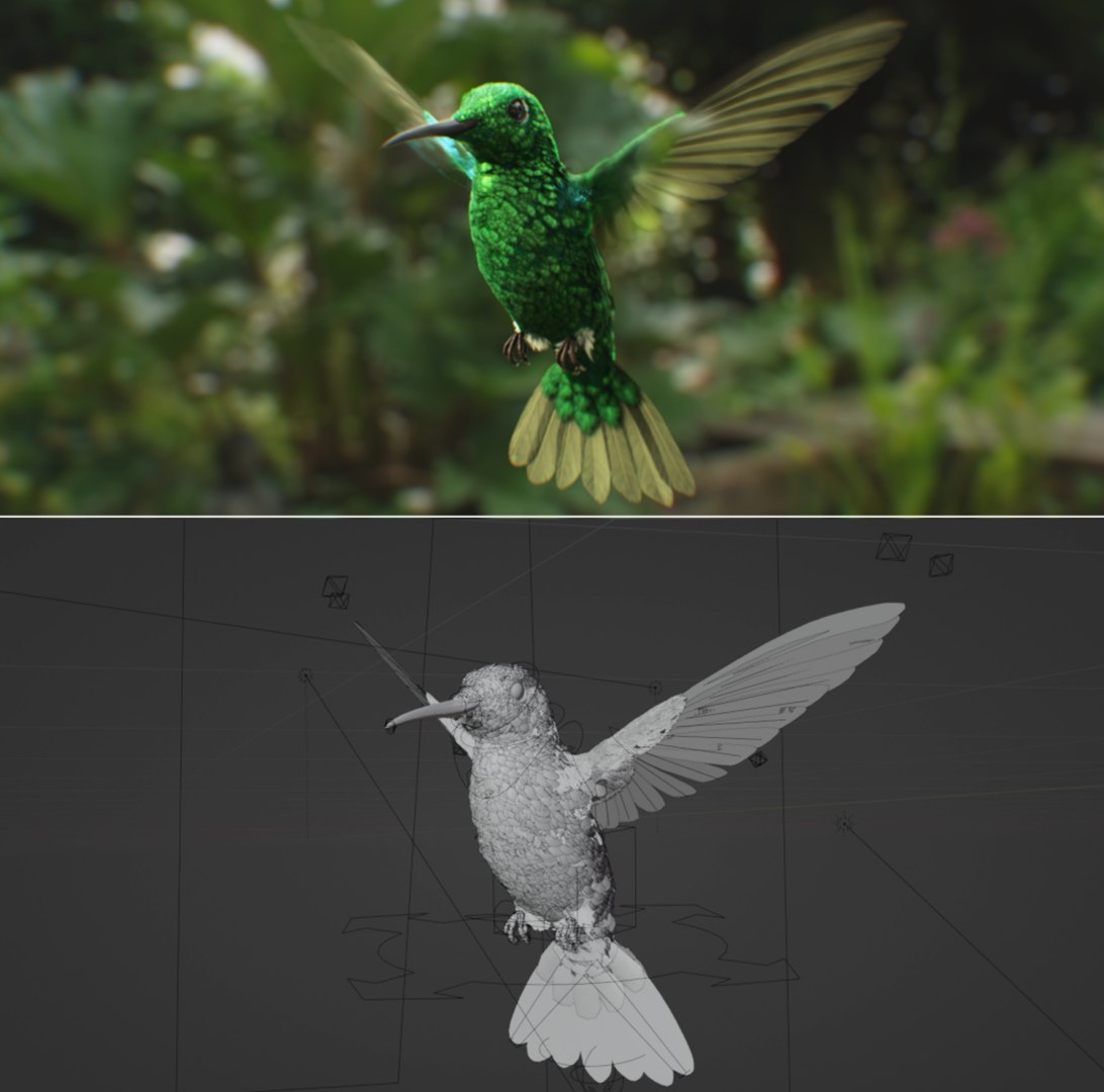 Hummingbird 3D Model - TurboSquid 2220894