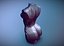 Sliced Female Torso Model