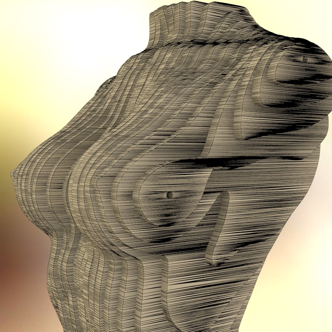 torso female 3D model https://p.turbosquid.com/ts-thumb/Fl/vKG9hY/BLIopxaX/imagew2/jpg/1578003339/1920x1080/fit_q87/01579dc602633bd76517b6715058a0c642c89aa1/imagew2.jpg