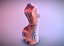 Sliced Female Torso Model