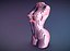 Sliced Female Torso Model