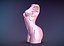 Sliced Female Torso Model