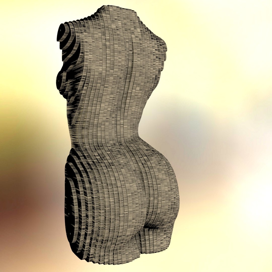 torso female 3D model https://p.turbosquid.com/ts-thumb/Fl/vKG9hY/oaKSN7g2/imagew4/jpg/1578003339/1920x1080/fit_q87/c3bdebb6da0f7831b869f91b45fd74fbf5cf9df2/imagew4.jpg