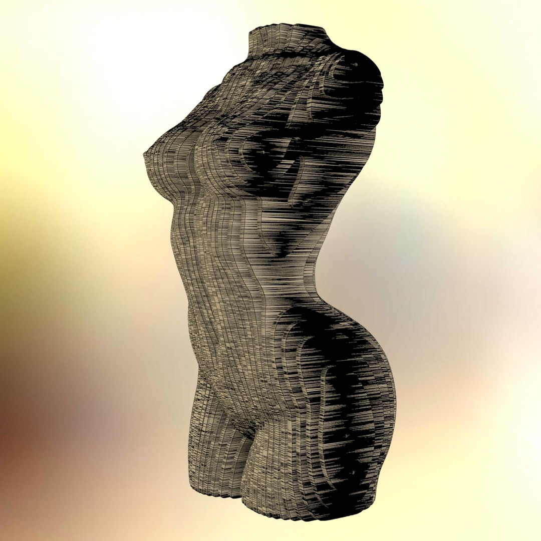 torso female 3D model https://p.turbosquid.com/ts-thumb/Fl/vKG9hY/v7Ye9Pib/imagew1/jpg/1578003339/1920x1080/fit_q87/0c16b760c15a20d994b14dc1683f5fe94778451c/imagew1.jpg