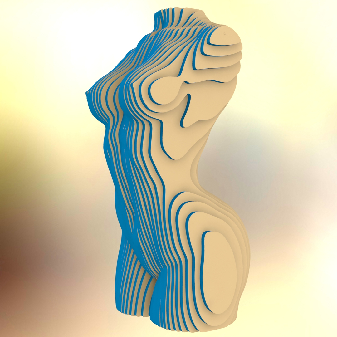 torso female 3D model https://p.turbosquid.com/ts-thumb/Fl/vKG9hY/xDoKwh9M/image/jpg/1578003384/1920x1080/turn_fit_q99/ea33e0395582f5d0d97cf6d7e12138b8dac862a2/image-1.jpg