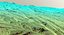 Landscape 120