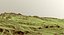 Landscape 120
