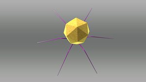 Bacteriophage