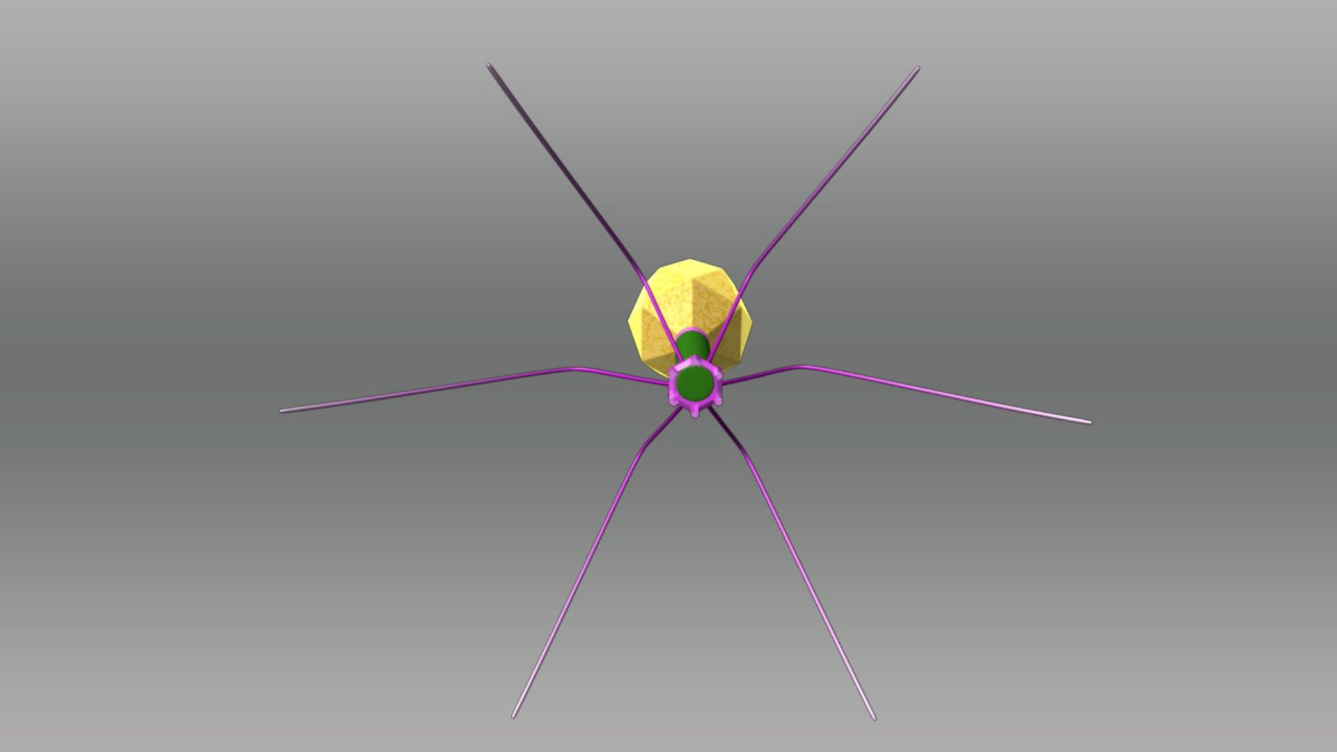 bacteriophage 3d model https://p.turbosquid.com/ts-thumb/Fm/3zqtFc/L9C3ILin/bacteriophage_02/jpg/1380786591/1920x1080/fit_q87/03a4a5b87dd847df74a6175be6ca190cad0ed62c/bacteriophage_02.jpg