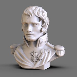 Napoleon Bust