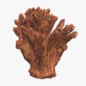 Agaricia agaricites Low Poly 3D model
