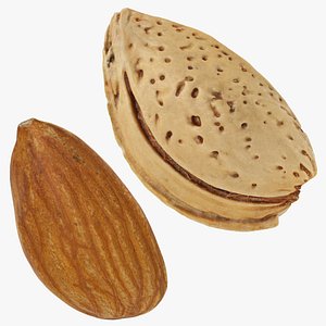 Almond and Almond Shell Collection 3D
