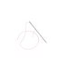 Needle And Thread