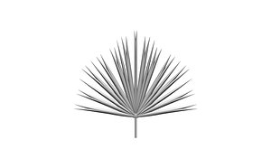 palm 3D model