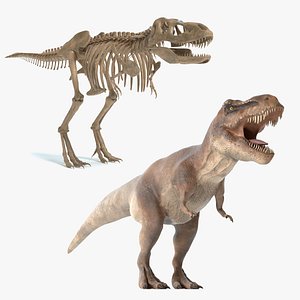 Tyrannosaurus Rex and Skeleton