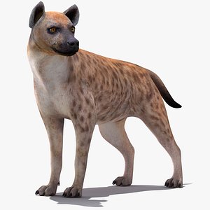 Hyena Rigged for Cinema 4D