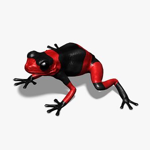 Lehmanns Poison Frog 3D