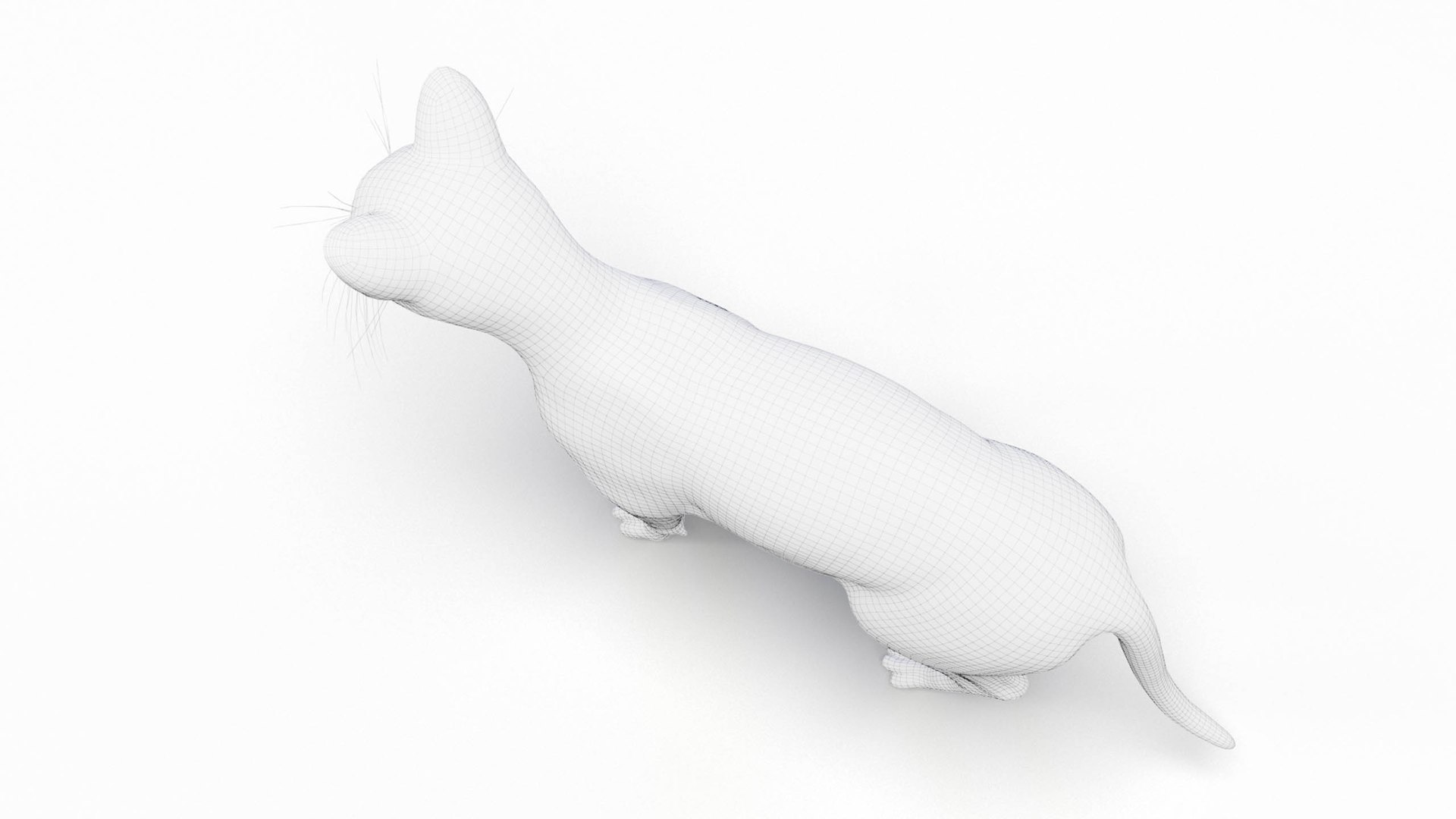 3D Cat Female Body  Static model https://p.turbosquid.com/ts-thumb/Fm/g4SbDC/am/cat_female_anatomy_2024_wire_body0005/jpg/1711914195/1920x1080/fit_q87/d700e46b40a89c1114f719dc7cb8951062db1e20/cat_female_anatomy_2024_wire_body0005.jpg