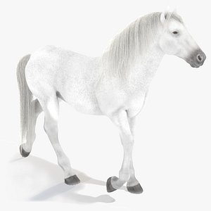 white horse 3D model