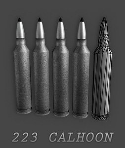 223 Calhoon Round