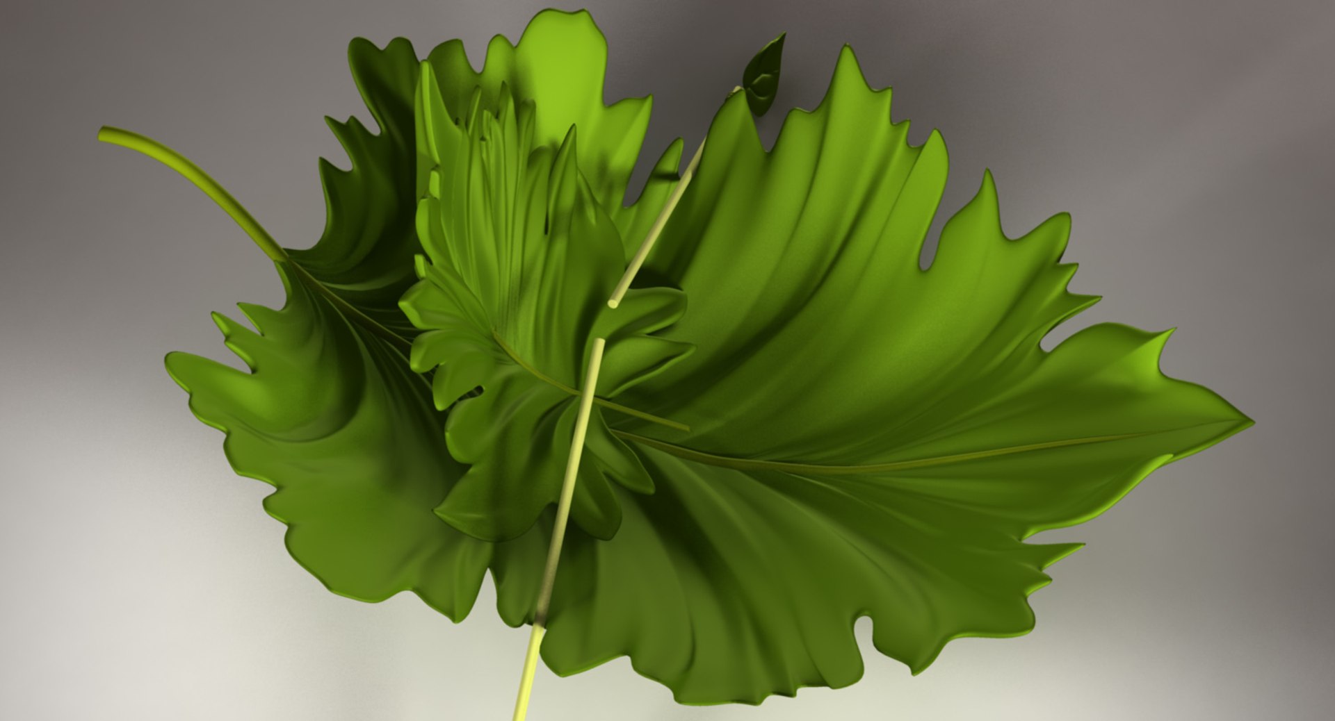 leaf boat 3D https://p.turbosquid.com/ts-thumb/Fn/7vf8h9/JIPgV1a3/leafboat_render_53/jpg/1551043417/1920x1080/fit_q87/6202de445be831952c83bdf25b4b1615a7feac87/leafboat_render_53.jpg