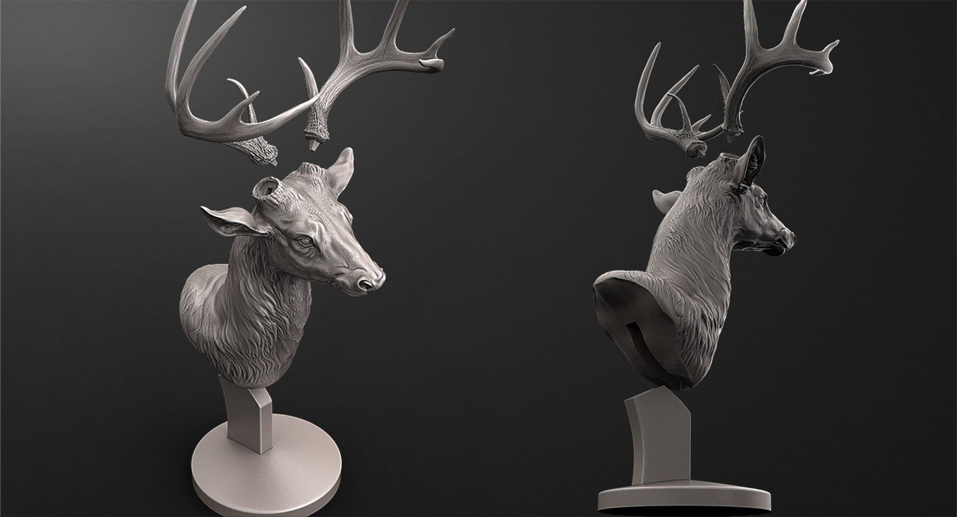 deer head sculpture 3D https://p.turbosquid.com/ts-thumb/Fn/CQdNVb/aWabuljp/dierraz4/jpg/1569082251/1920x1080/fit_q87/c1b5fe1f1d2f9df21f8982905dfbbbaa82c58efb/dierraz4.jpg